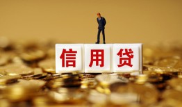 深圳24哪有个人借贷-深圳24小额贷款公司-深圳24私借空放免费上门